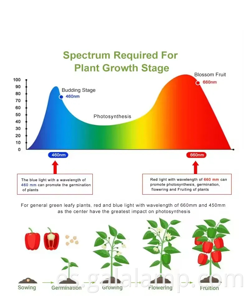 Luz de cultivo LED de clip ajustable con característica de relleno versátil
